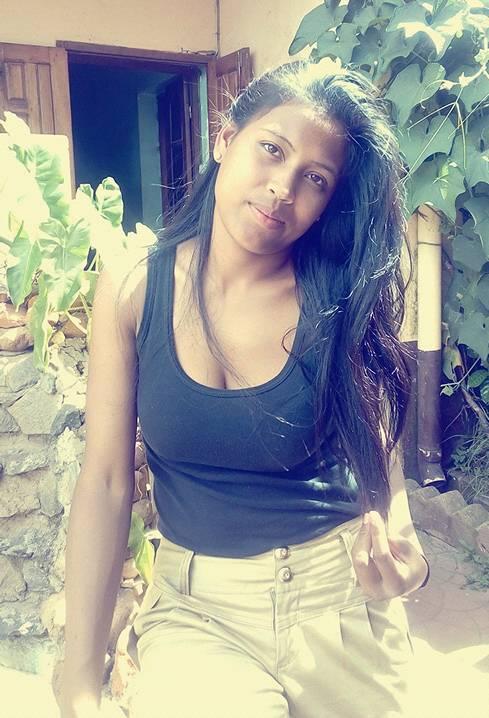 Vue de la collection