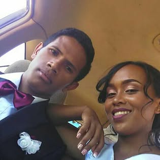 Vue de la collection