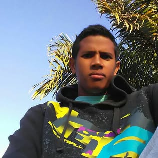 Vue de la collection