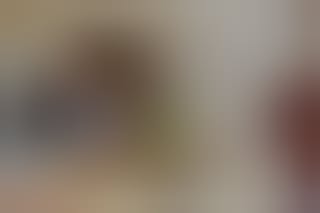 Vue de la collection